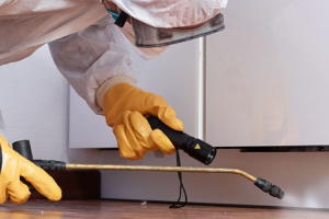 Messie Schädlingsbekämpfung Moers